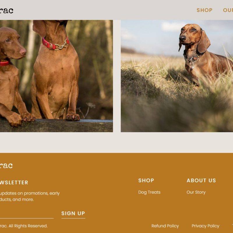 an example of a footer for a website, including a newsletter sign up, social links, and links to other pages