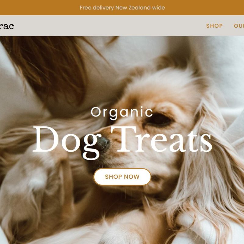an example of a website front page, golden brown and taupe colours, hero image is a dog being held in a persons arms